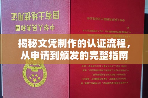 阿拉尔揭秘文凭制作的认证流程，从申请到颁发的完整指南